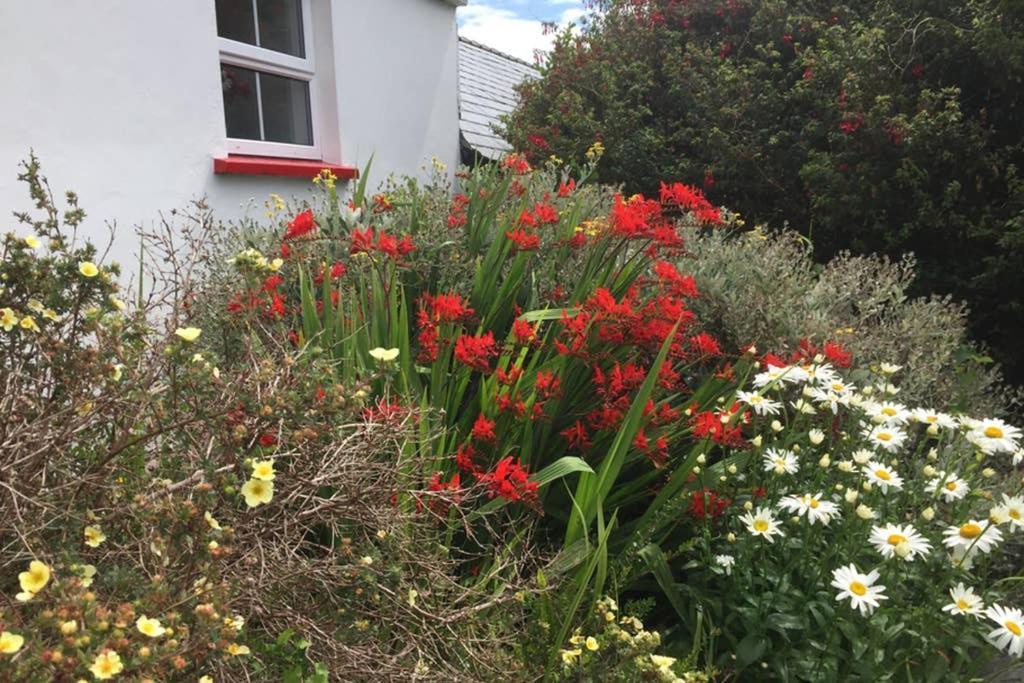 Red Stonecutters Cottage, Doolin Carrowauff Ngoại thất bức ảnh